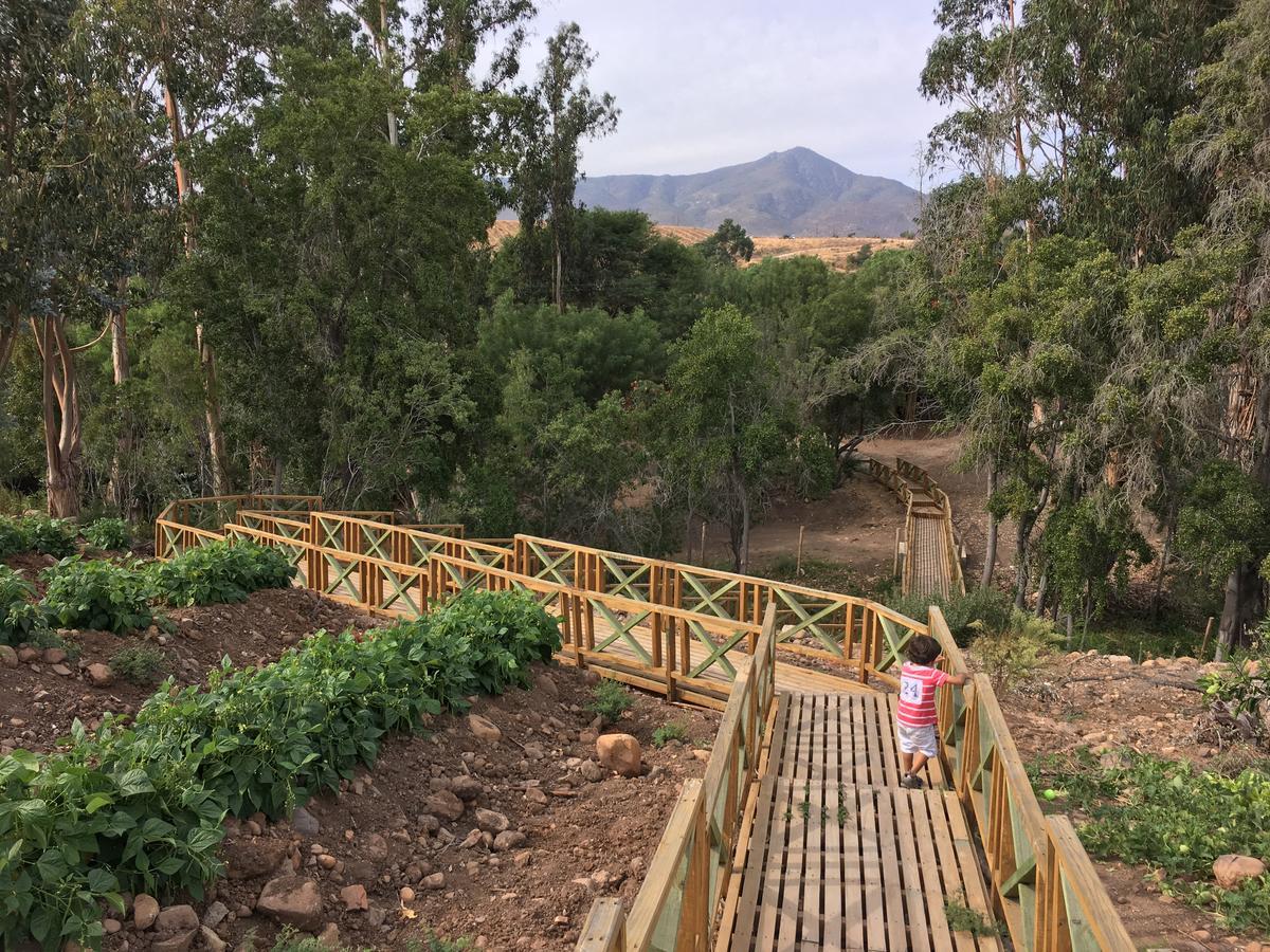 فندق Hacienda Santa Cristina اوفايي المظهر الخارجي الصورة