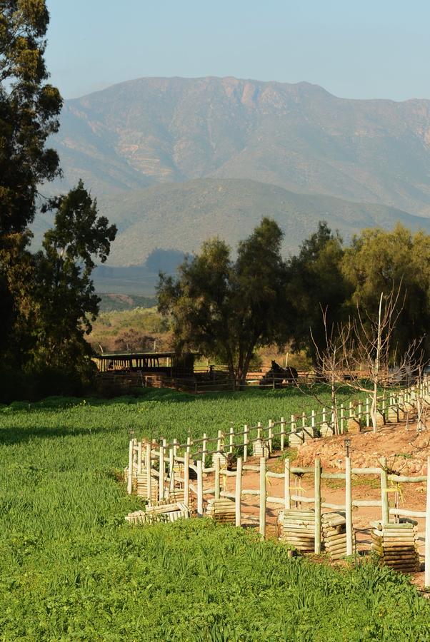 فندق Hacienda Santa Cristina اوفايي المظهر الخارجي الصورة